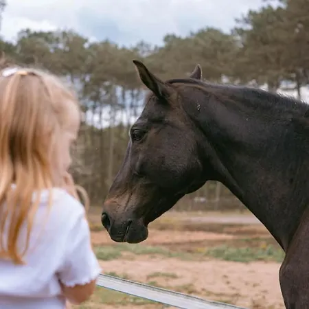 Roulottes Cocooning Au Coeur Des Landes *